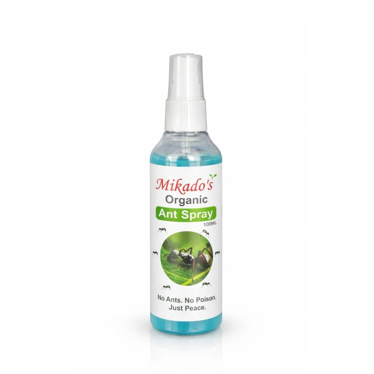 Kitchen Protection Kit (Cockroach Gel + Ant Spray + Cockroach Powder)
