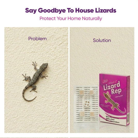 Mikado’s Lizard Repellent Cubes for Home | Non-Poisonous | Long-Lasting Protection | Safe & Easy to Use