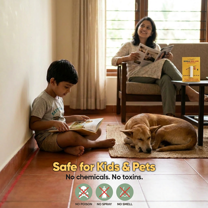 Mikado’s Ant Repellent Chalk | Reliable Ant Protection | No Mess | Long-Lasting Home Solution